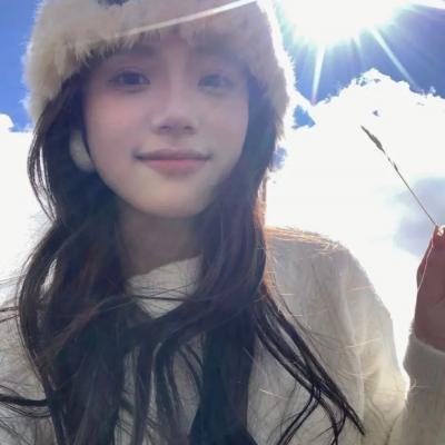 假元首秘纪