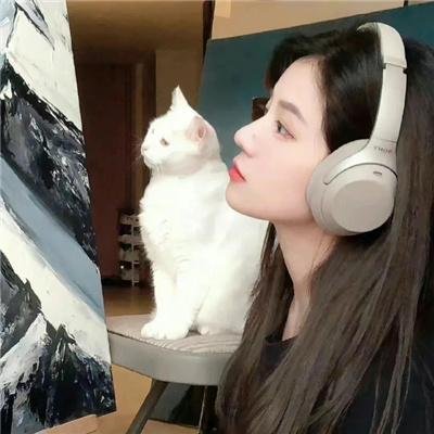6号叩应女郎